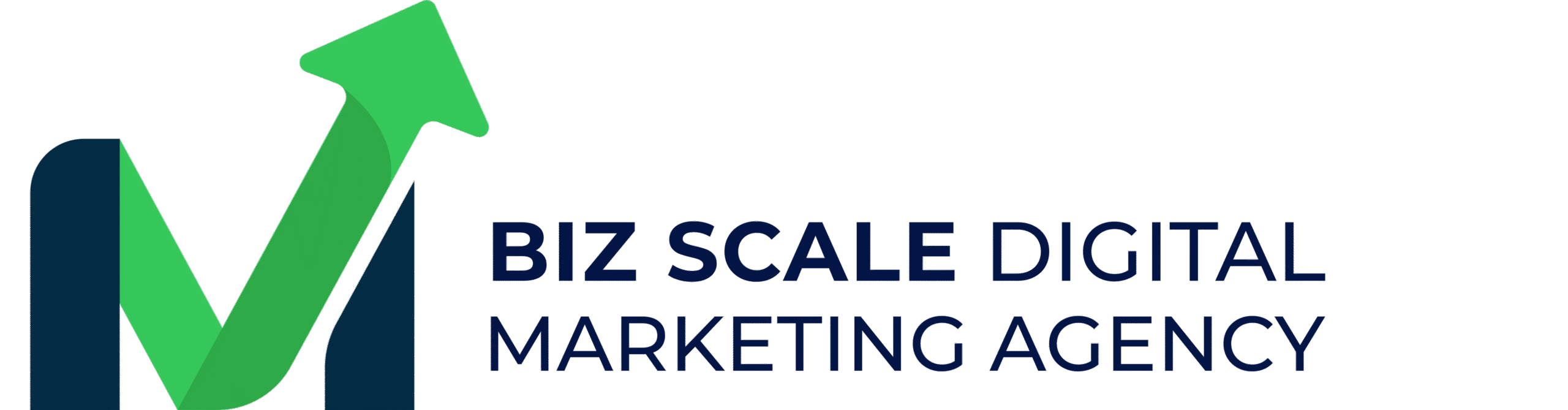 Biz Scale Digital Marketing